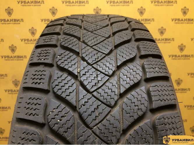 Landsail Winter Lander 195/65 R15 91H